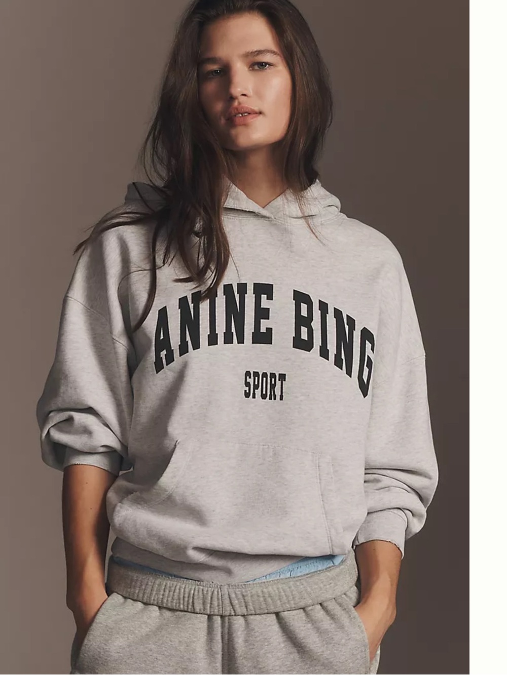 Anine Bing Harvey Hoodie Sweatshirt Medium Gray Varsity Logo Pullover Oversized